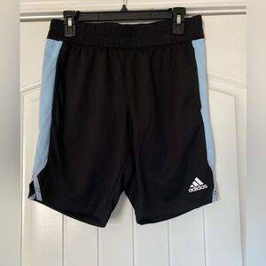 Adidas Golf Mens Black with Blue Mesh Side Athletic Shorts Medium
